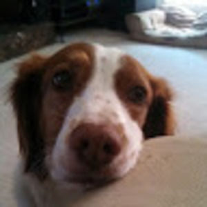 Meet your Posher, Alexandria